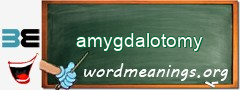 WordMeaning blackboard for amygdalotomy